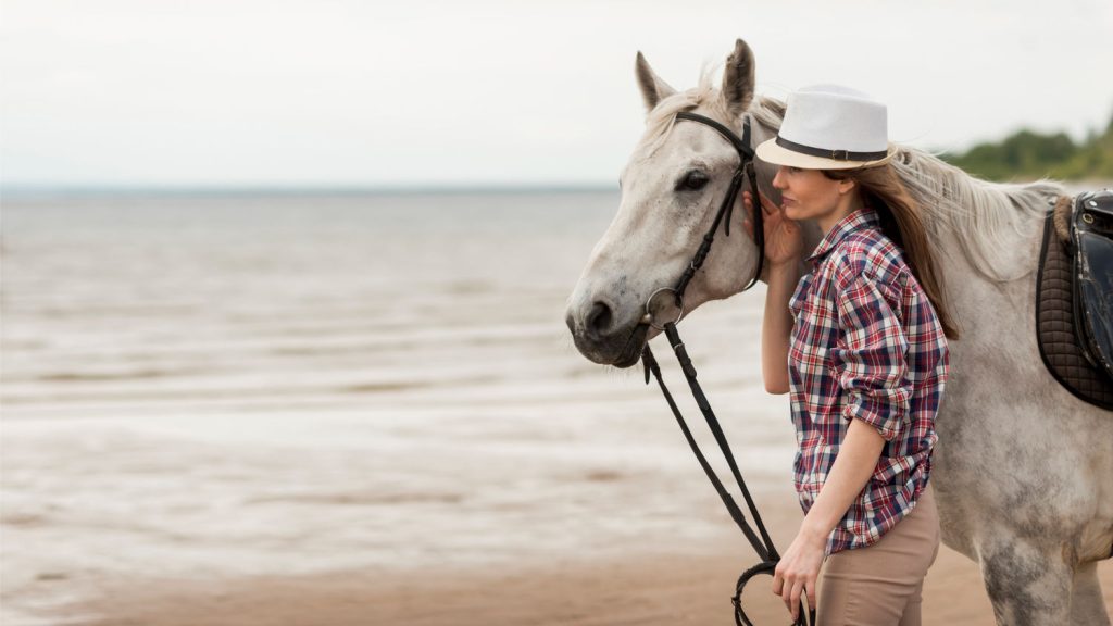 Ubezpieczenie zdrowotne dla koni jest jednym z najważniejszych rodzajów ubezpieczenia koni, jakie możesz kupić